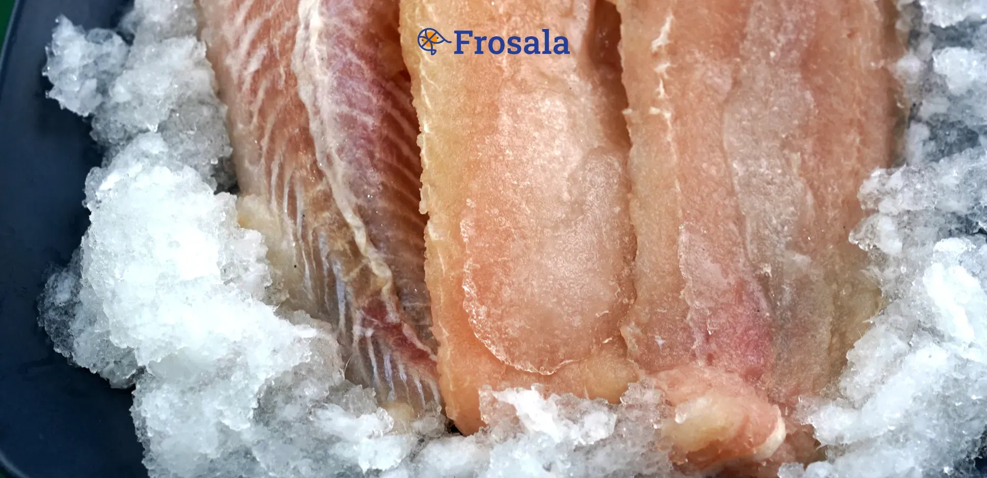 Cover Frosala Blog - Bedanya Ikan Dori.webp
