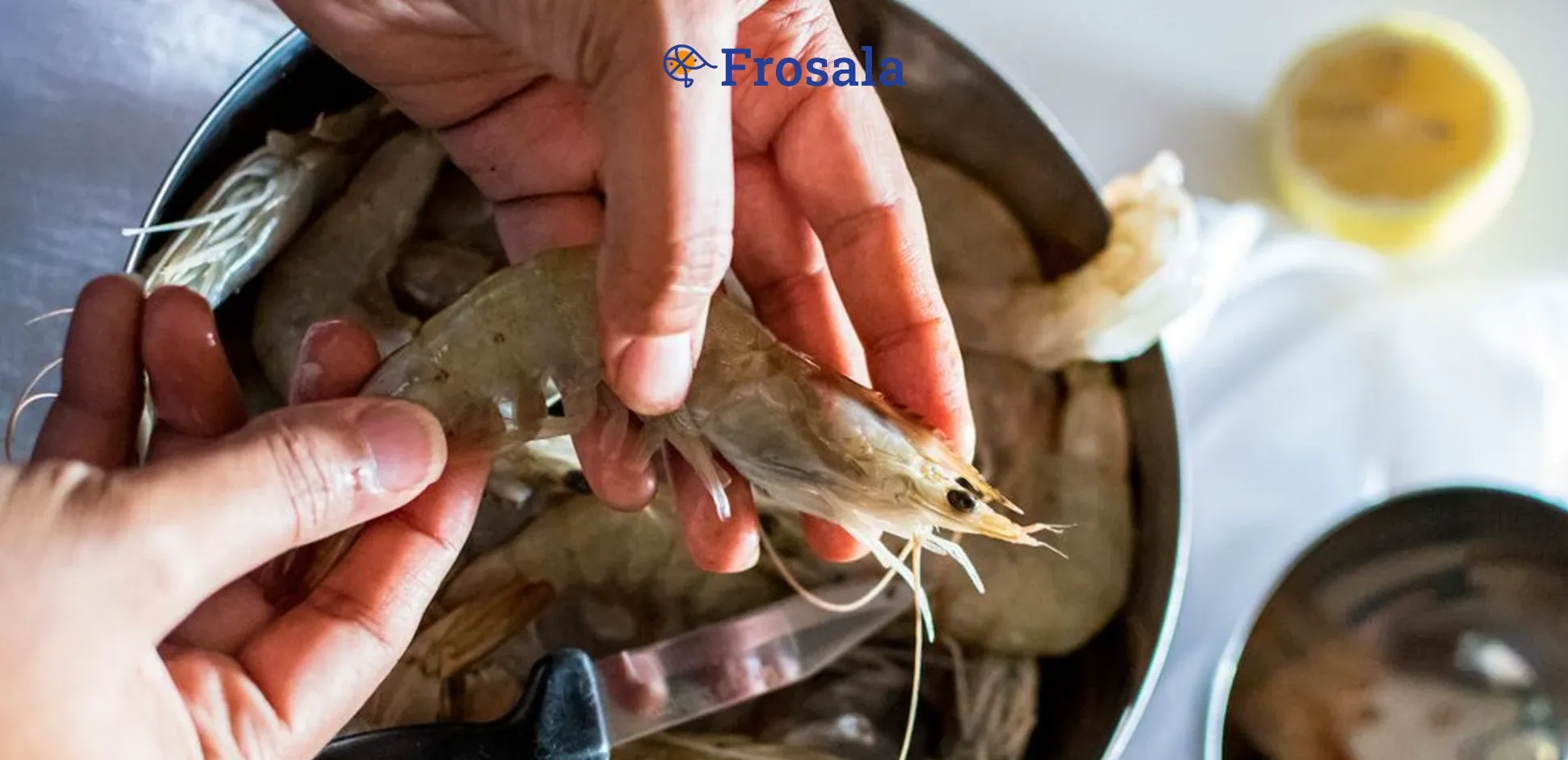 Cover Frosala Blog - Manfaat Udang untuk MPASI.webp