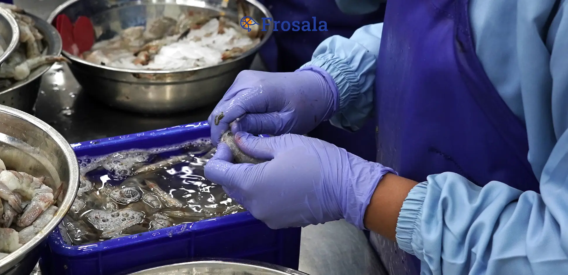 Cover Frosala Blog - Mengupas Kulit Udang.webp