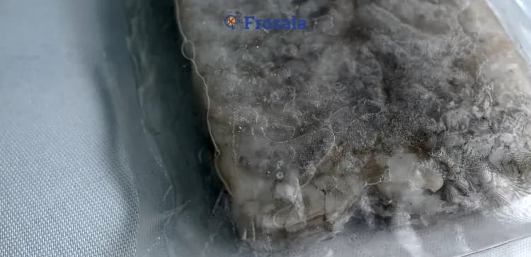 The Differences of  SBF and IQF Shrimp
