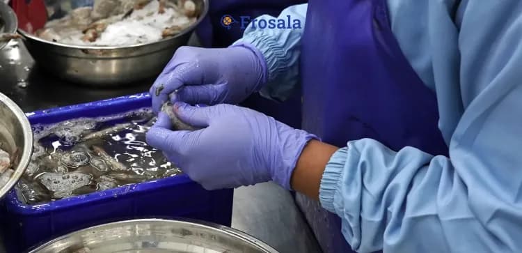 Cara Membersihkan Udang Tanpa Membuang Kulit